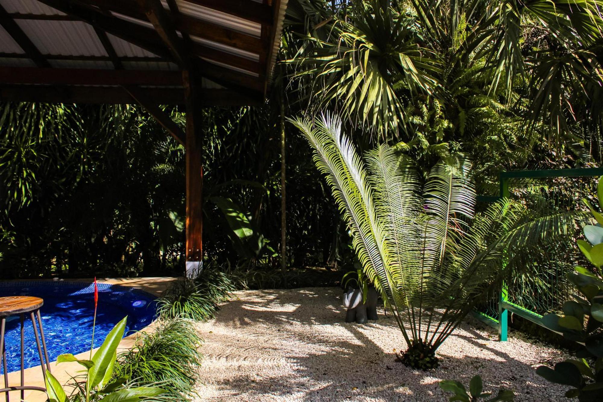 Sueño Río Celeste B&B Bijagua Exterior foto